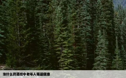 泡什么药酒给中老年人喝最健康