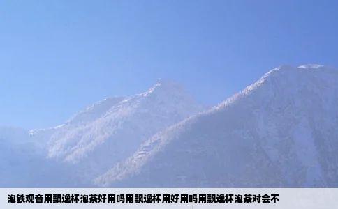 泡铁观音用飘逸杯泡茶好用吗用飘逸杯用好用吗用飘逸杯泡茶对会不