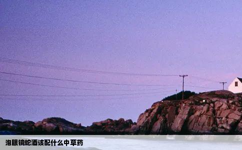 泡眼镜蛇酒该配什么中草药