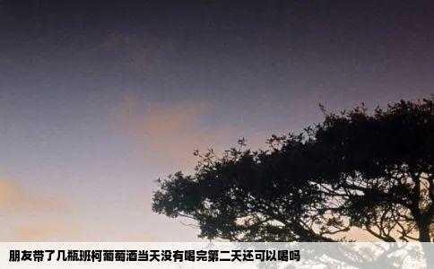 朋友带了几瓶班柯葡萄酒当天没有喝完第二天还可以喝吗