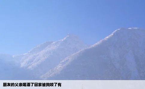 朋友的父亲喝酒了回家被狗咬了有