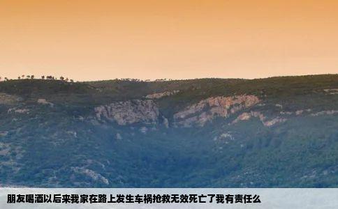 朋友喝酒以后来我家在路上发生车祸抢救无效死亡了我有责任么