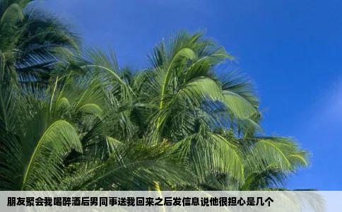 朋友聚会我喝醉酒后男同事送我回来之后发信息说他很担心是几个