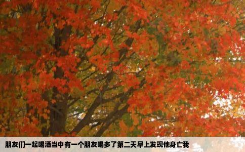 朋友们一起喝酒当中有一个朋友喝多了第二天早上发现他身亡我