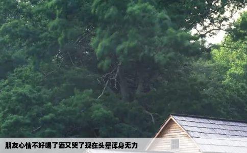 朋友心情不好喝了酒又哭了现在头晕浑身无力