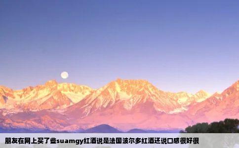 朋友在网上买了些suamgy红酒说是法国波尔多红酒还说口感很好很