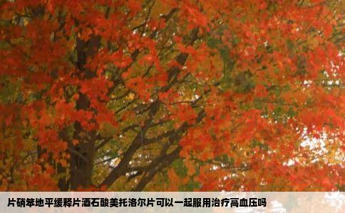 片硝笨地平缓释片酒石酸美托洛尔片可以一起服用治疗高血压吗