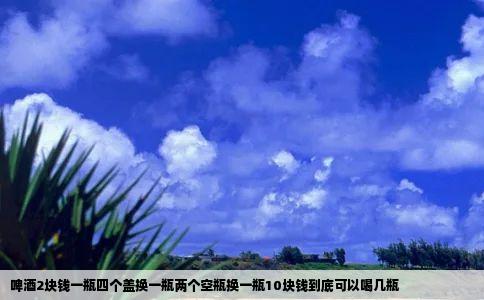 啤酒2块钱一瓶四个盖换一瓶两个空瓶换一瓶10块钱到底可以喝几瓶