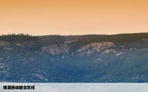 啤酒掺味精会怎样