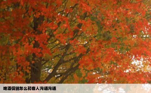 啤酒促销怎么和客人沟通沟通