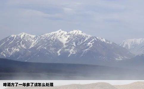 啤酒方了一年多了该怎么处理