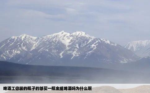 啤酒工你装的瓶子的够买一瓶金威啤酒吗为什么啊