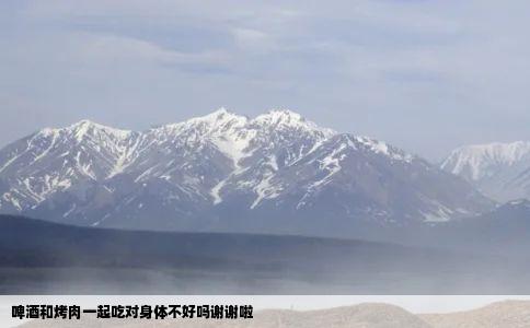 啤酒和烤肉一起吃对身体不好吗谢谢啦