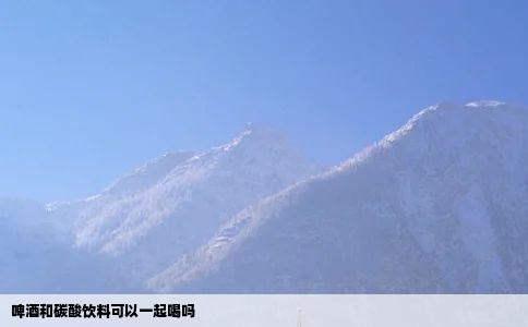 啤酒和碳酸饮料可以一起喝吗