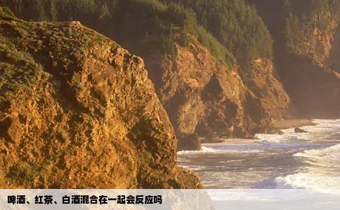 啤酒红茶白酒混合在一起会反应吗