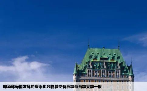 啤酒酵母能发酵的碳水化合物糖类有蔗糖葡萄糖果糖一般