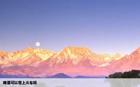 啤酒可以带上火车吗