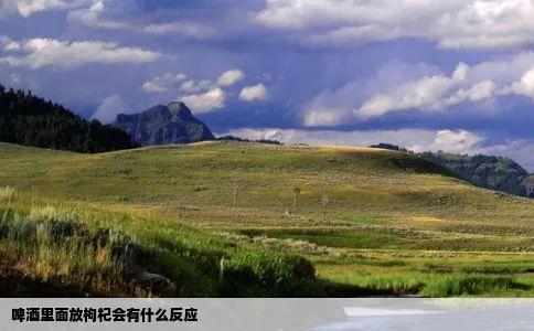 啤酒里面放枸杞会有什么反应