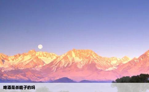 啤酒是杀精子的吗