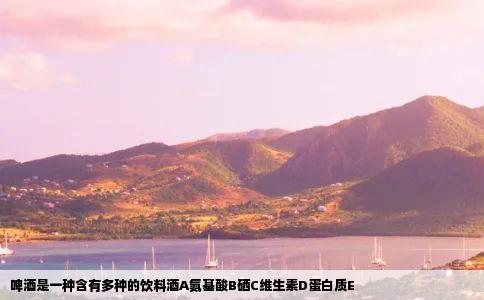 啤酒是一种含有多种的饮料酒A氨基酸B硒C维生素D蛋白质E