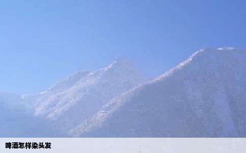 啤酒怎样染头发