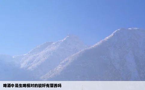 啤酒中是生啤相对的较好有营养吗