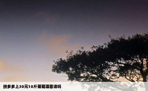 拼多多上30元10斤葡萄酒靠谱吗