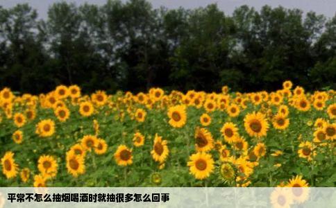 平常不怎么抽烟喝酒时就抽很多怎么回事