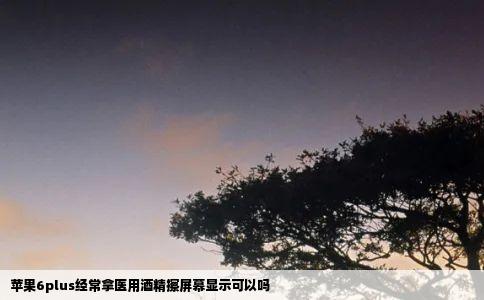 苹果6plus经常拿医用酒精擦屏幕显示可以吗