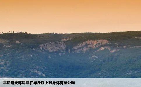 平均每天都喝酒在半斤以上对身体有害处吗