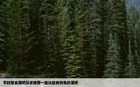 平时常去酒吧玩求推荐一些比较有特色的酒吧