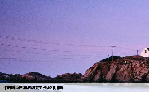 平时喝点白酒对想要男孩起作用吗
