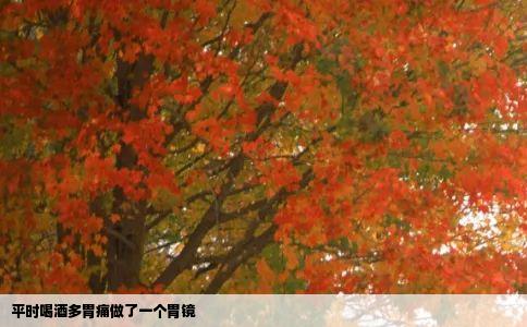 平时喝酒多胃痛做了一个胃镜