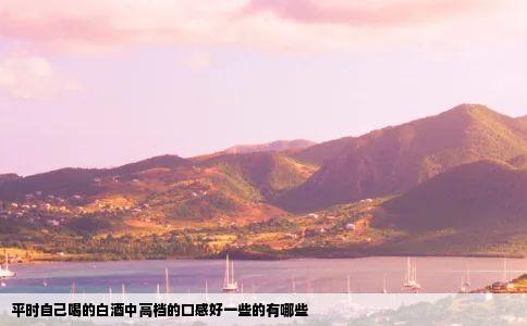 平时自己喝的白酒中高档的口感好一些的有哪些