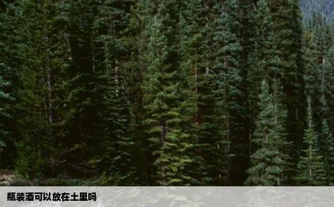 瓶装酒可以放在土里吗