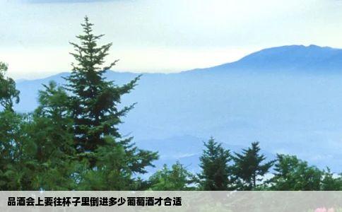品酒会上要往杯子里倒进多少葡萄酒才合适