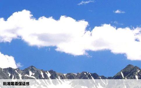 批准喝酒保证书