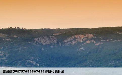 普洱茶饼号757685867436等各代表什么