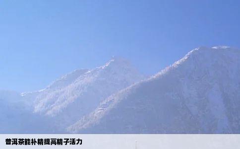 普洱茶能补精提高精子活力