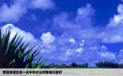普洱茶适合在一天中的什么时候喝比较好