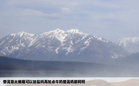 普洱茶太难喝可以加盐吗再加点牛奶普洱奶茶呵呵