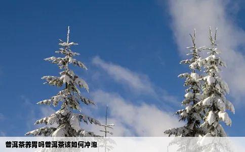 普洱茶养胃吗普洱茶该如何冲泡