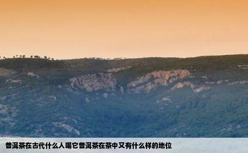 普洱茶在古代什么人喝它普洱茶在茶中又有什么样的地位