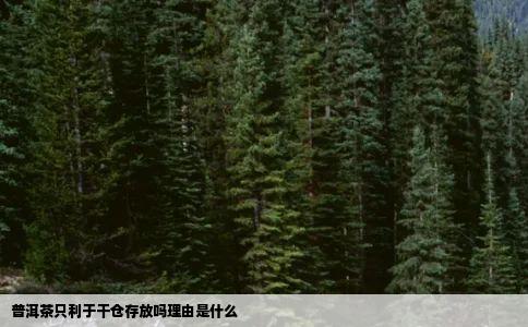 普洱茶只利于干仓存放吗理由是什么