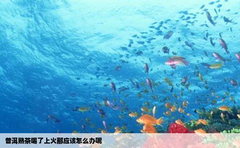 普洱熟茶喝了上火那应该怎么办呢