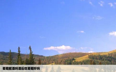 葡萄解酒吗酒后吃葡萄好吗