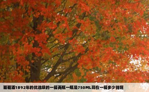 葡萄酒1892年的优选级的一箱两瓶一瓶是750ML现在一箱多少钱啊