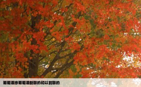 葡萄酒掺葡萄酒新酿的和以前酿的