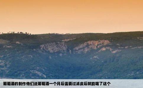 葡萄酒的制作他们说葡萄酒一个月后需要过滤皮后就能喝了这个
