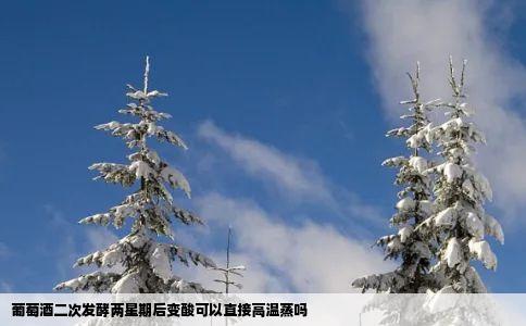 葡萄酒二次发酵两星期后变酸可以直接高温蒸吗